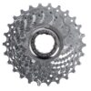 campagnolo-veloce-10 vit set pinioane campagnolo veloce 10 viteze